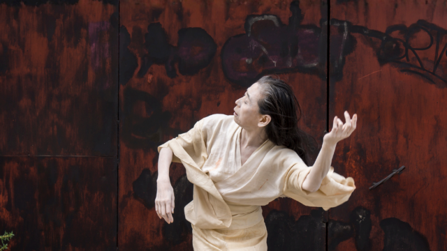 A Body, Land, and War-Eiko Otake (Spring 2026)